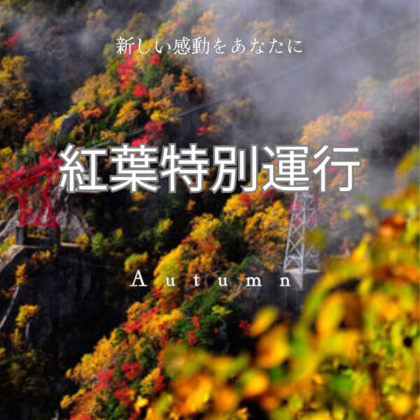 2612体験～紅葉特別運行について～